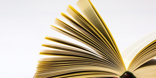 Ein aufgeschlagenes Buch mit goldenen Seiten, dessen Blätter sanft im Licht schimmern. Die Seiten sind leicht gewölbt und laden dazu ein, in die Geschichten und Informationen einzutauchen, die zwischen den Zeilen verborgen liegen. Dieses Buch symbolisiert Wissen, Abenteuer und die unendlichen Möglichkeiten, die sich durch das Lesen eröffnen.