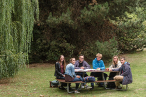 Studierende neben einer Trauerweide Studierende sitzen an einem Picknicktisch neben einer Trauerweide.
