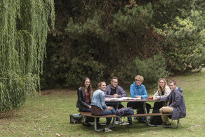 Studierende sitzen an einem Picknicktisch neben einer Trauerweide.